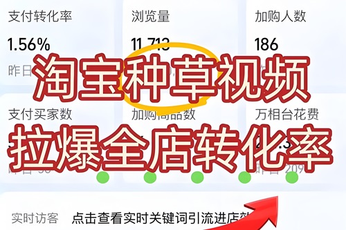 淘宝种草短视频
