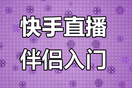 快手直播伴侣