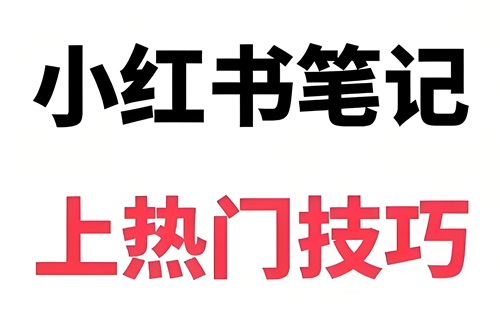小红书发视频如何能上热门